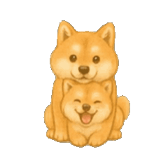 Silent Moving Shibas Daily Life