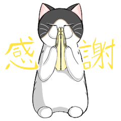 Sitting cat Hacchi's animation sticker