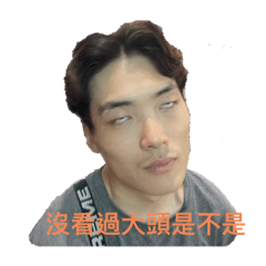 沙鹿防衛隊