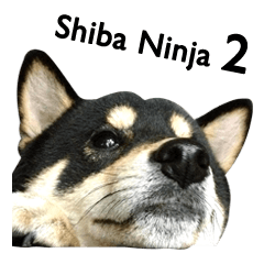 Shiba Ninja 2