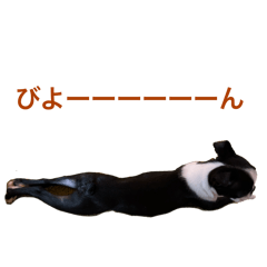 non_20250923194102