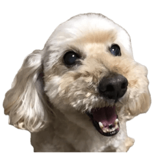 honita_20250923182708