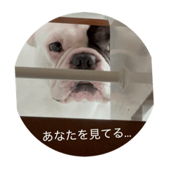 nanami_20250923193606