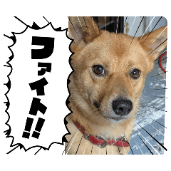 asako_20250923194523