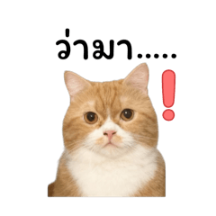 My happy_20250923184657