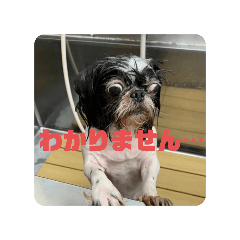 Haruka_20250923210041