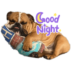 wataame_20250923213541