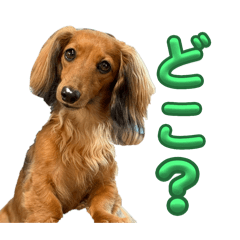 angie_20250923214607