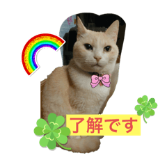 himawari_20250924094204