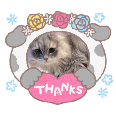 ayumi_20250923200332