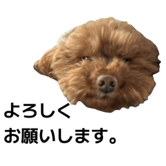 happy_20250923202545