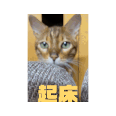 阿饅頭