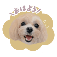 yunomama_20250923191256