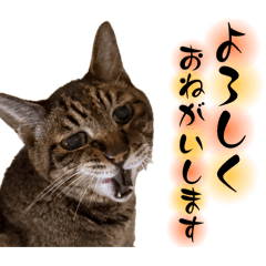 kana_20250923192433
