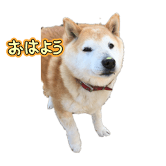 k_20250924024802