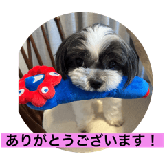 Do Do_20250924051755