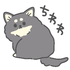 ぽってりちわわ