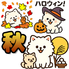 秋♡ず～っと使える♡ポメラニアン