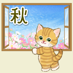 子猫ねこネコ 秋