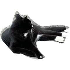 M_20250924073336