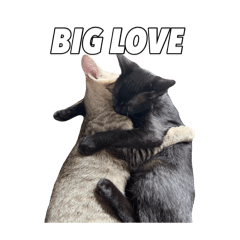 kurumi_20250924090150