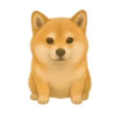 Silent Shibas Daily Life  12