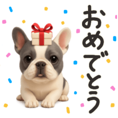 cutecute frenchbulldog