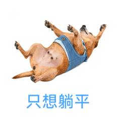 饅頭少爺...上班就想躺平