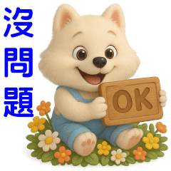 可愛博美❤️日常實用❤️