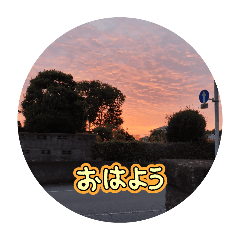 sugar_20250923075642