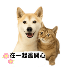 波妞鐵鐵的友情語錄