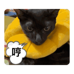 Wei_20250924144619