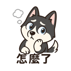哈士奇_生活常用語