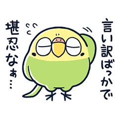 MENTORI Excuse Parade[MATSUDA]