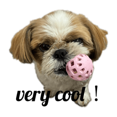 Natsu_20250922235718