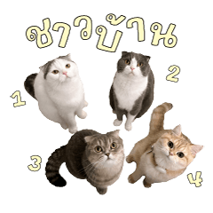 จิ๋วโก๋จู๊ดจ้ม ver.1