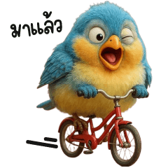 นกหลากสีสันน่ารัก