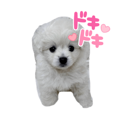 yuasa_20250924095846