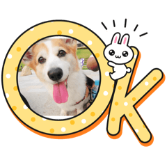 AYUMI_20250924104333