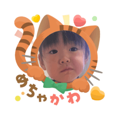 GON_2025092414075567