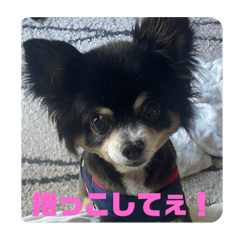 naana_20250924143213