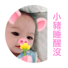 BoNiuBaby 2