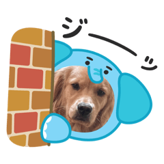 kinaco_20250924153226