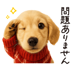 ずっと使える♪ダックスの日常フレーズ