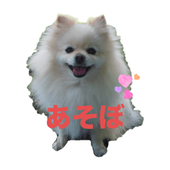 potato_20250924133512