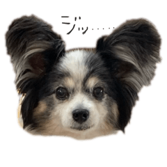 neene_20250924174304