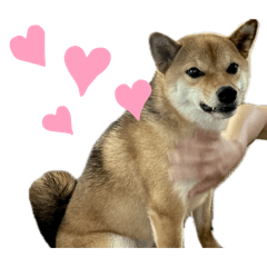 naruchan_20250924194644