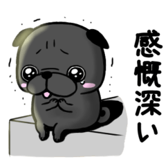 Pug sticker 9