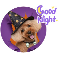 しーぽんの愛犬ピートハッピーハロウィン