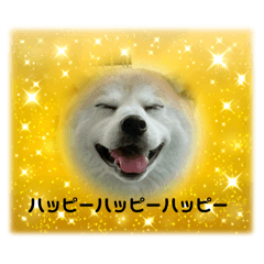 Eri Amaji_20250924211244